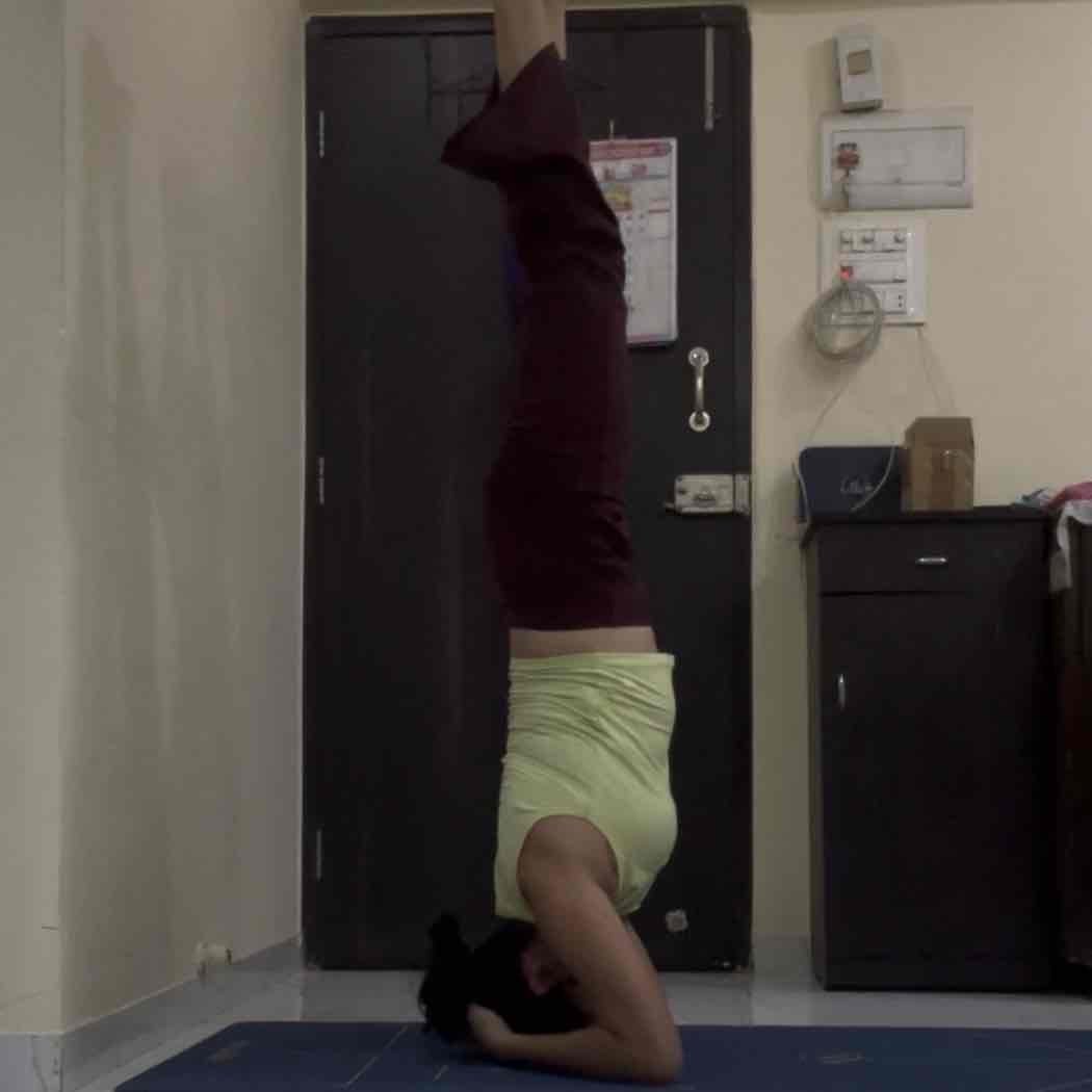 Ekta Bhargava - (Hatha Yoga,Meditation & Breathwork,Power Yoga / Vinyasa)