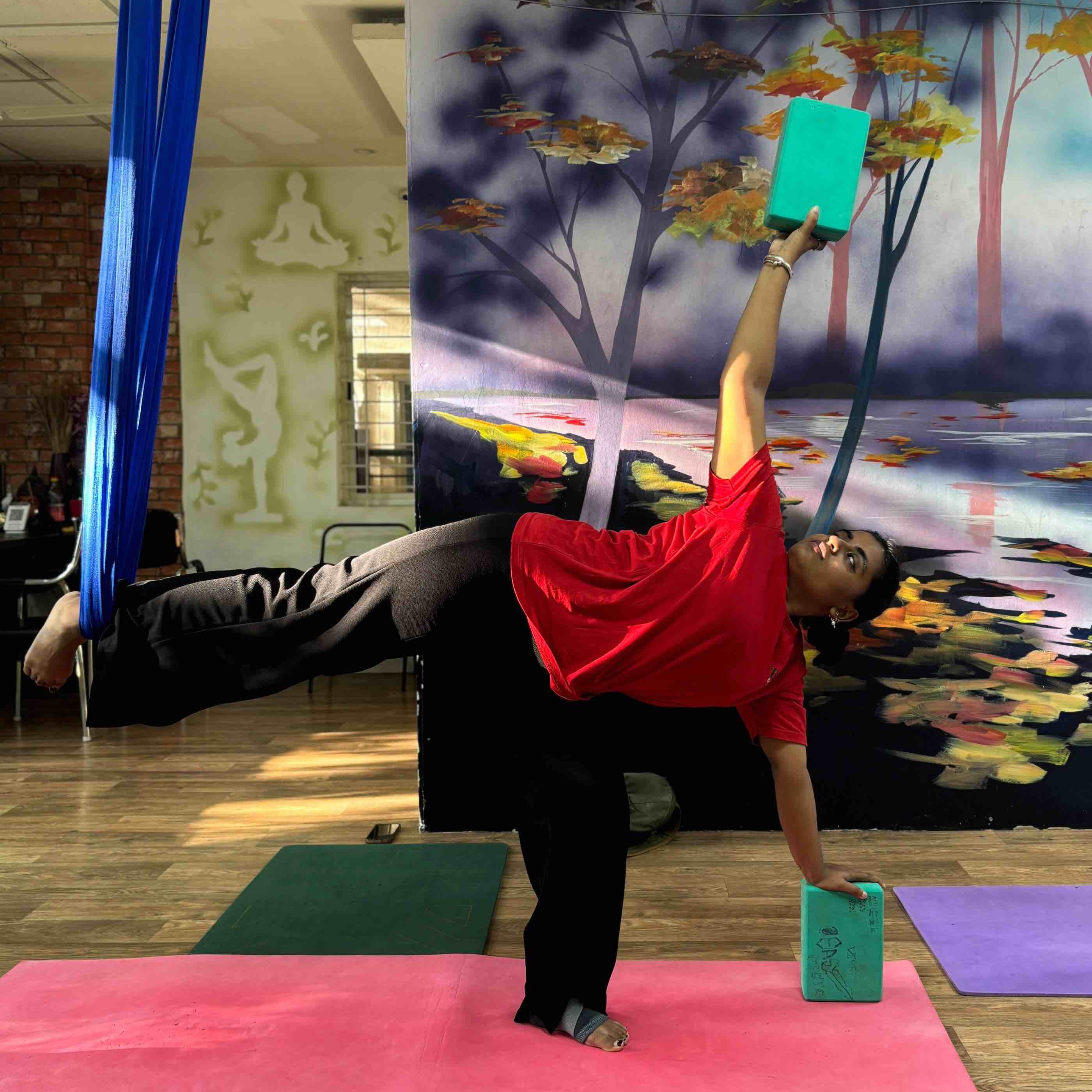 Sonali Singh - (Hatha Yoga,Meditation & Breathwork)