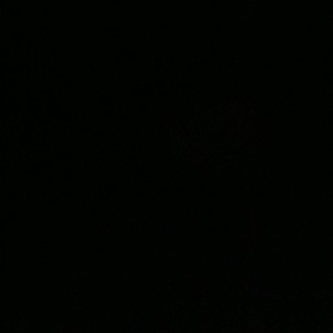 Sonu Arya - (Yoga & Ayurveda, Fitness & Training)